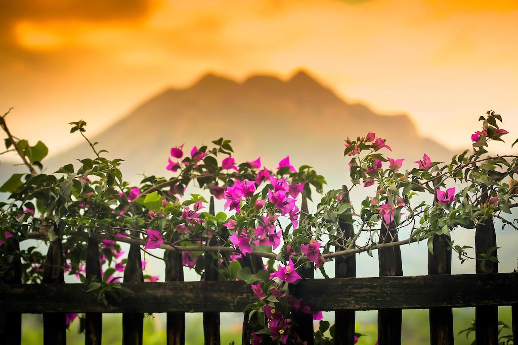 Casa Madre Tierra Hotel Vilcabamba Kültér fotó