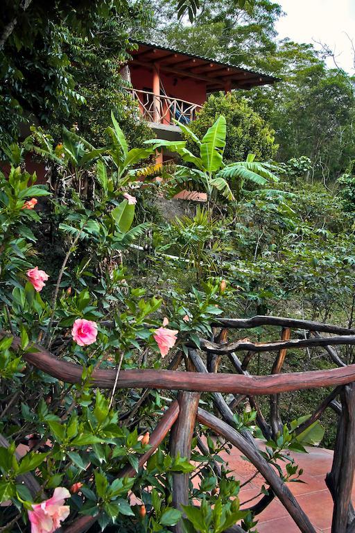 Casa Madre Tierra Hotel Vilcabamba Kültér fotó